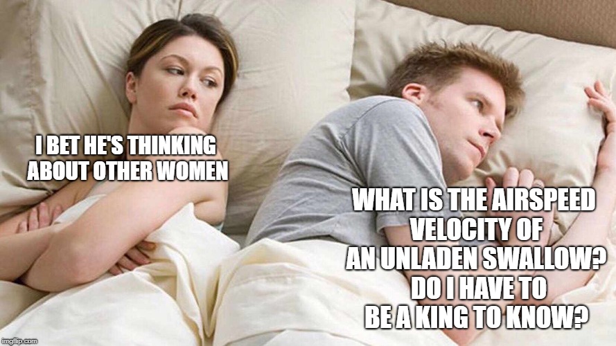 I Bet He's Thinking About Other Women Meme | WHAT IS THE AIRSPEED VELOCITY OF AN UNLADEN SWALLOW?  DO I HAVE TO BE A KING TO KNOW? I BET HE'S THINKING ABOUT OTHER WOMEN | image tagged in i bet he's thinking about other women | made w/ Imgflip meme maker