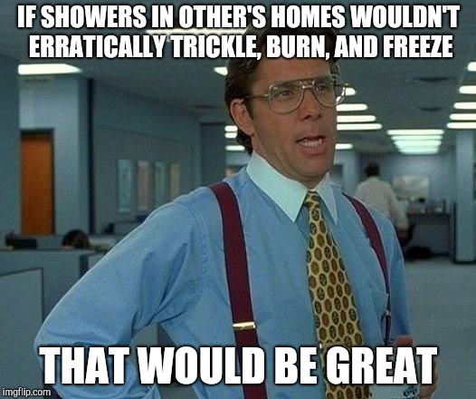 Tryna find the right temp in someone else's home like  | IF SHOWERS IN OTHER'S HOMES WOULDN'T ERRATICALLY TRICKLE, BURN, AND FREEZE; THAT WOULD BE GREAT | image tagged in memes,that would be great | made w/ Imgflip meme maker