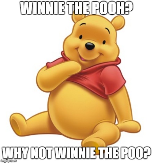 Winnie The Pooh | WINNIE THE POOH? WHY NOT WINNIE THE POO? | image tagged in winnie the pooh | made w/ Imgflip meme maker