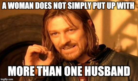 One Does Not Simply Meme | A WOMAN DOES NOT SIMPLY PUT UP WITH MORE THAN ONE HUSBAND. | image tagged in memes,one does not simply | made w/ Imgflip meme maker