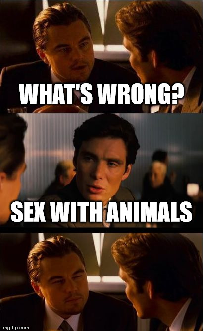 Top Dog | WHAT'S WRONG? SEX WITH ANIMALS | image tagged in memes,inception | made w/ Imgflip meme maker