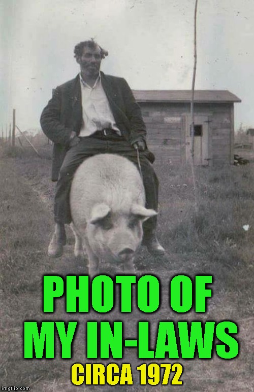 Riden' High On The Hog | PHOTO OF MY IN-LAWS; CIRCA 1972 | image tagged in fat woman,mother-in-law,in-laws,pigs,gross,disgusting | made w/ Imgflip meme maker