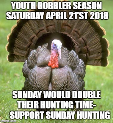 Turkey | YOUTH GOBBLER SEASON SATURDAY APRIL 21'ST 2018; SUNDAY WOULD DOUBLE THEIR HUNTING TIME-     SUPPORT SUNDAY HUNTING | image tagged in memes,turkey | made w/ Imgflip meme maker