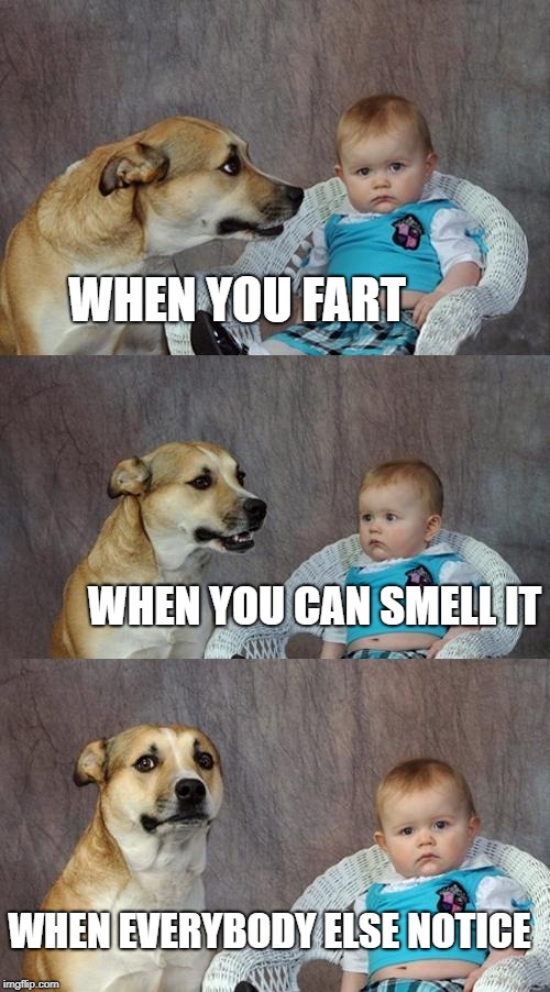 Dad Joke Dog | WHEN YOU FART; WHEN YOU CAN SMELL IT; WHEN EVERYBODY ELSE NOTICE | image tagged in memes,dad joke dog | made w/ Imgflip meme maker