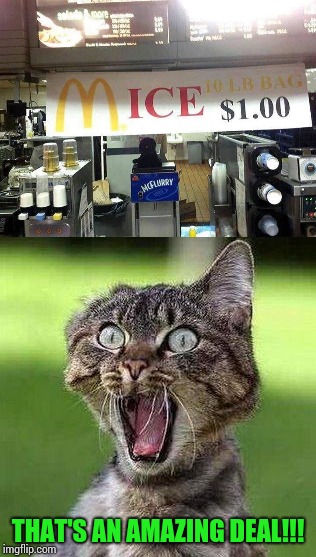 McDonald's expanding their menu | THAT'S AN AMAZING DEAL!!! | image tagged in mcdonald's,mice,shocked cat,pipe_picasso | made w/ Imgflip meme maker