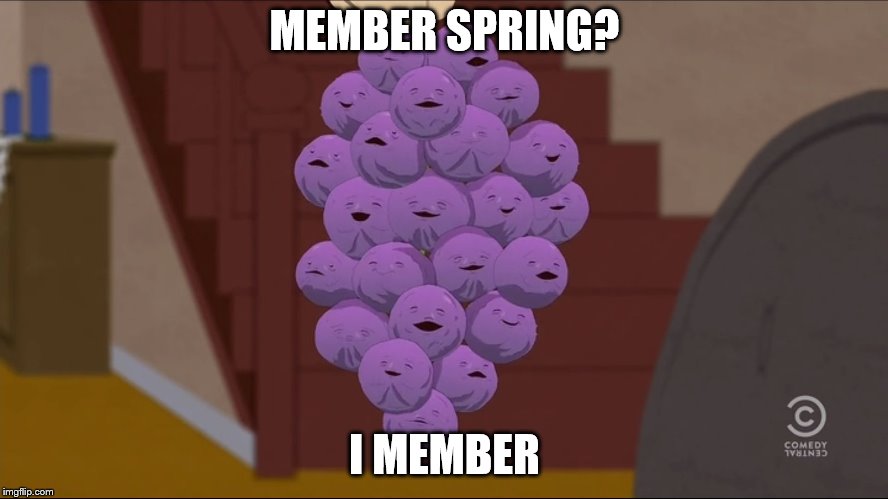 Member Berries | MEMBER SPRING? I MEMBER | image tagged in memes,member berries | made w/ Imgflip meme maker