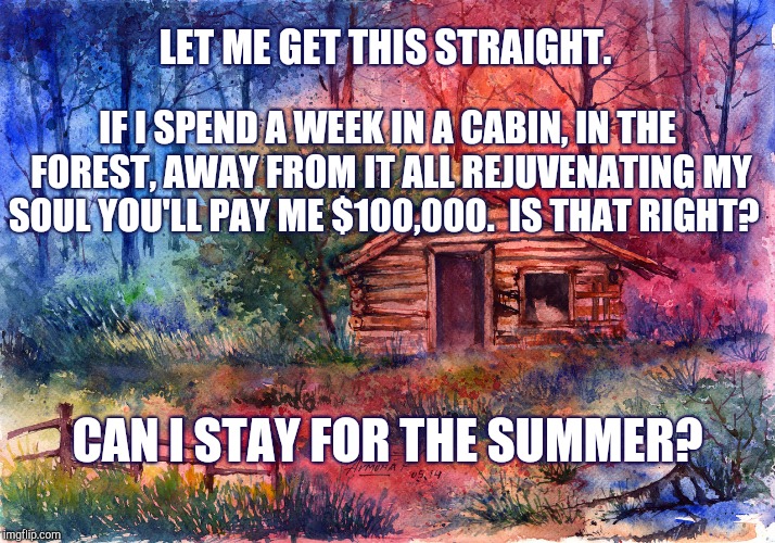 Cabin In The Woods | LET ME GET THIS STRAIGHT. IF I SPEND A WEEK IN A CABIN, IN THE FOREST, AWAY FROM IT ALL REJUVENATING MY SOUL YOU'LL PAY ME $100,000.  IS THAT RIGHT? CAN I STAY FOR THE SUMMER? | image tagged in forest,rest | made w/ Imgflip meme maker