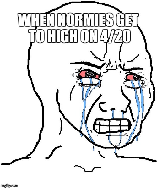 Normie | WHEN NORMIES GET TO HIGH ON 4/20 | image tagged in normie | made w/ Imgflip meme maker