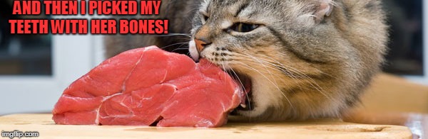 cat eating meat | AND THEN I PICKED MY TEETH WITH HER BONES! | image tagged in cat eating meat | made w/ Imgflip meme maker