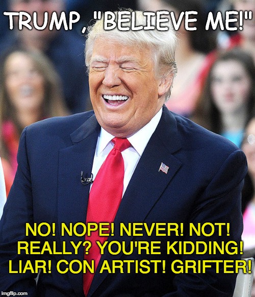 Trump - Liar, Grifter, Con Artist | TRUMP, "BELIEVE ME!"; NO! NOPE! NEVER! NOT! REALLY? YOU'RE KIDDING! LIAR! CON ARTIST! GRIFTER! | image tagged in trump - believe me,trump lies,trump con artist,grifter,liar,never trump | made w/ Imgflip meme maker