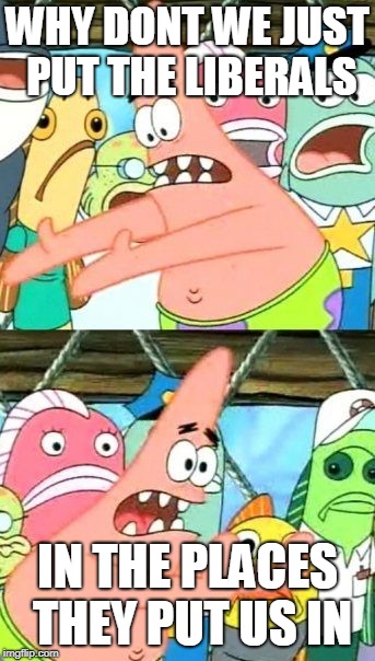 Put It Somewhere Else Patrick Meme | WHY DONT WE JUST PUT THE LIBERALS; IN THE PLACES THEY PUT US IN | image tagged in memes,put it somewhere else patrick | made w/ Imgflip meme maker