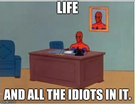 Spiderman Computer Desk Meme | LIFE; AND ALL THE IDIOTS IN IT. | image tagged in memes,spiderman computer desk,spiderman | made w/ Imgflip meme maker