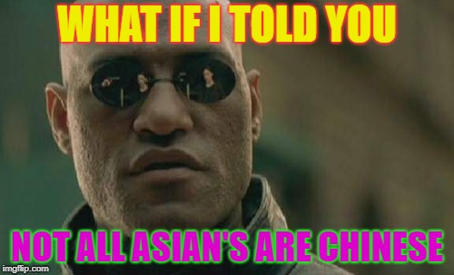 Matrix Morpheus | WHAT IF I TOLD YOU; NOT ALL ASIAN'S ARE CHINESE | image tagged in memes,matrix morpheus | made w/ Imgflip meme maker
