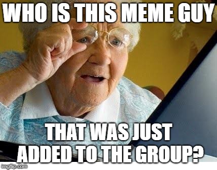 old lady at computer | WHO IS THIS MEME GUY; THAT WAS JUST ADDED TO THE GROUP? | image tagged in old lady at computer | made w/ Imgflip meme maker
