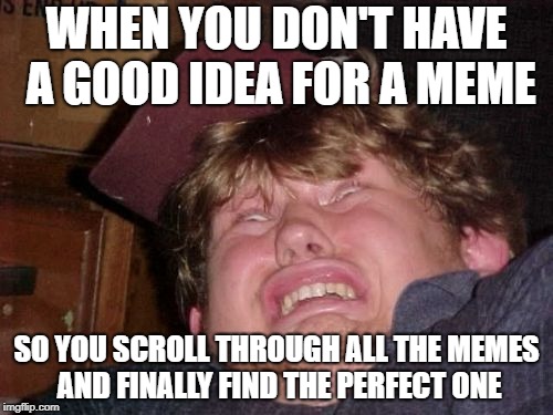 WTF | WHEN YOU DON'T HAVE A GOOD IDEA FOR A MEME; SO YOU SCROLL THROUGH ALL THE MEMES AND FINALLY FIND THE PERFECT ONE | image tagged in memes,wtf | made w/ Imgflip meme maker
