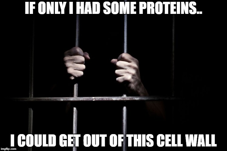 Hands on jail cell door | IF ONLY I HAD SOME PROTEINS.. I COULD GET OUT OF THIS CELL WALL | image tagged in hands on jail cell door | made w/ Imgflip meme maker