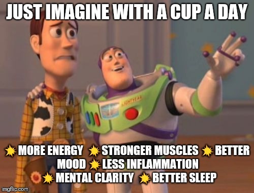 X, X Everywhere | JUST IMAGINE WITH A CUP A DAY; 💥MORE ENERGY 
💥STRONGER MUSCLES
💥BETTER MOOD
💥LESS INFLAMMATION 
💥MENTAL CLARITY 
💥BETTER SLEEP | image tagged in memes,x x everywhere | made w/ Imgflip meme maker