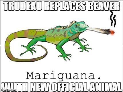TRUDEAU REPLACES BEAVER; WIITH NEW OFFICIAL ANIMAL | image tagged in marijuana,law | made w/ Imgflip meme maker