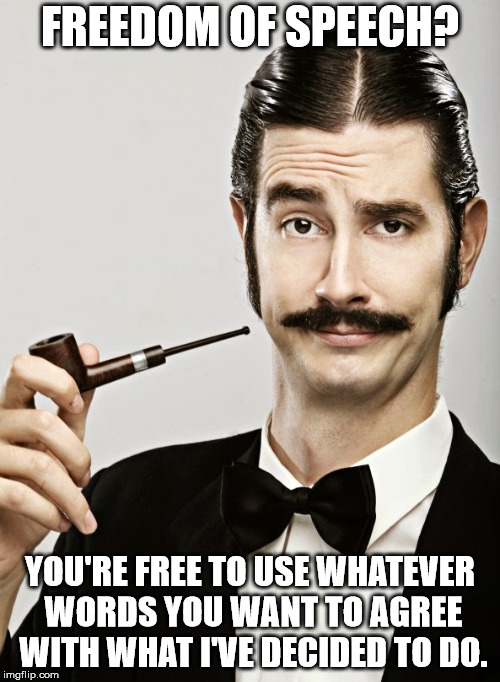 Rich Jerk Snob | FREEDOM OF SPEECH? YOU'RE FREE TO USE WHATEVER WORDS YOU WANT TO AGREE WITH WHAT I'VE DECIDED TO DO. | image tagged in rich jerk snob | made w/ Imgflip meme maker