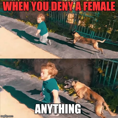 WHEN YOU DENY A FEMALE; ANYTHING | image tagged in angry feminist | made w/ Imgflip meme maker
