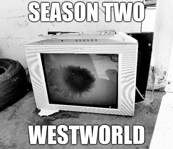 SEASON TWO; WESTWORLD | image tagged in westworld | made w/ Imgflip meme maker