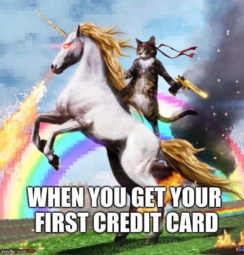 Welcome To The Internets Meme | WHEN YOU GET YOUR FIRST CREDIT CARD | image tagged in memes,welcome to the internets | made w/ Imgflip meme maker