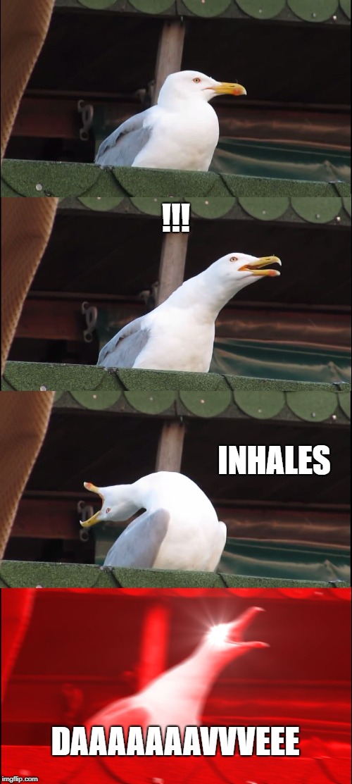 Inhaling Seagull | !!! INHALES; DAAAAAAAVVVEEE | image tagged in memes,inhaling seagull | made w/ Imgflip meme maker