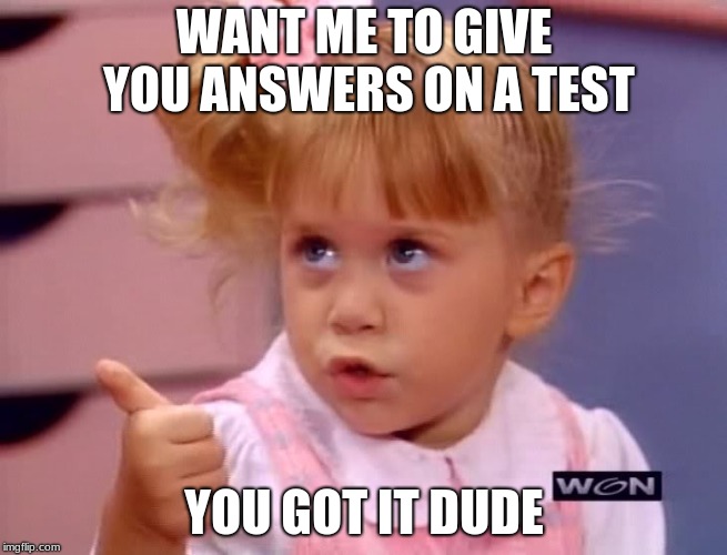 Full House | WANT ME TO GIVE YOU ANSWERS ON A TEST; YOU GOT IT DUDE | image tagged in full house | made w/ Imgflip meme maker
