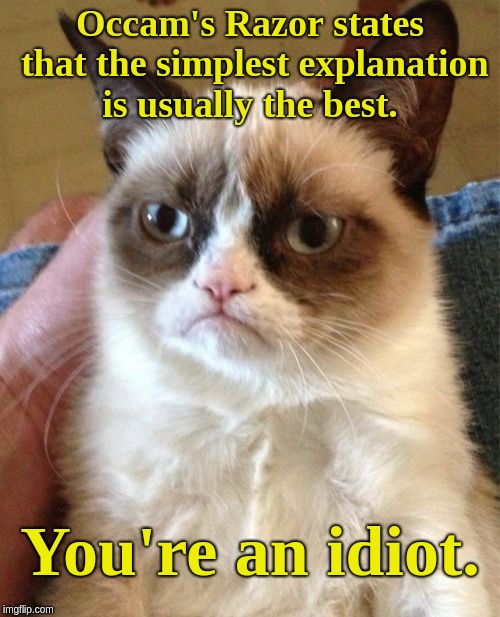 Grumpy Cat Meme | Occam's Razor states that the simplest explanation is usually the best. You're an idiot. | image tagged in memes,grumpy cat | made w/ Imgflip meme maker