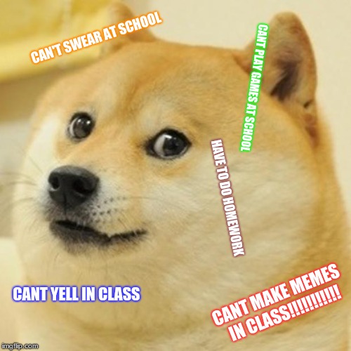 Doge | CAN'T SWEAR AT SCHOOL; CANT PLAY GAMES AT SCHOOL; HAVE TO DO HOMEWORK; CANT MAKE MEMES IN CLASS!!!!!!!!!!! CANT YELL IN CLASS | image tagged in memes,doge | made w/ Imgflip meme maker