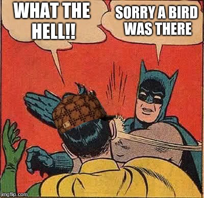 Batman Slapping Robin Meme | WHAT THE HELL!! SORRY A BIRD WAS THERE | image tagged in memes,batman slapping robin,scumbag | made w/ Imgflip meme maker