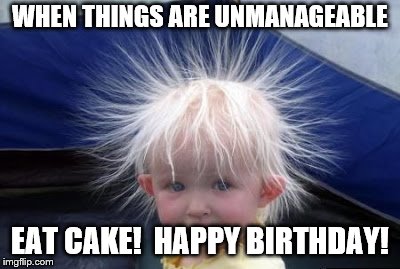 hair |  WHEN THINGS ARE UNMANAGEABLE; EAT CAKE!  HAPPY BIRTHDAY! | image tagged in hair | made w/ Imgflip meme maker