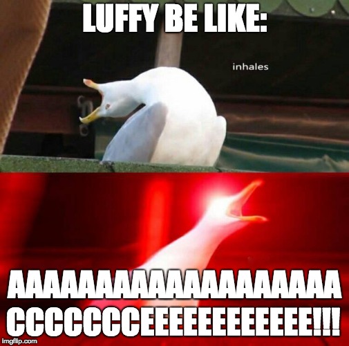 Seagull misses Ace too... :( | LUFFY BE LIKE:; AAAAAAAAAAAAAAAAAAA; CCCCCCCEEEEEEEEEEEE!!! | image tagged in inhaling seagull,one piece,luffy,ace,memes,funny | made w/ Imgflip meme maker