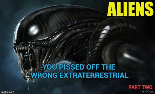 Dumbed down movie titles for the new millennium | ALIENS; YOU PISSED OFF THE WRONG EXTRATERRESTRIAL; PART TWO | image tagged in alien,special kind of stupid,millenials,dumb and dumber | made w/ Imgflip meme maker