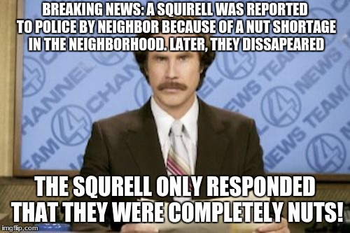 Ron Burgundy | BREAKING NEWS: A SQUIRELL WAS REPORTED TO POLICE BY NEIGHBOR BECAUSE OF A NUT SHORTAGE IN THE NEIGHBORHOOD. LATER, THEY DISSAPEARED; THE SQURELL ONLY RESPONDED THAT THEY WERE COMPLETELY NUTS! | image tagged in memes,ron burgundy | made w/ Imgflip meme maker