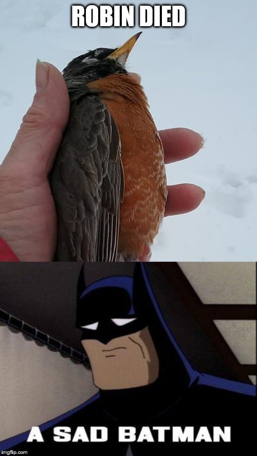 Batman is sad | ROBIN DIED | image tagged in batman and robin,batman,robin,sadness | made w/ Imgflip meme maker
