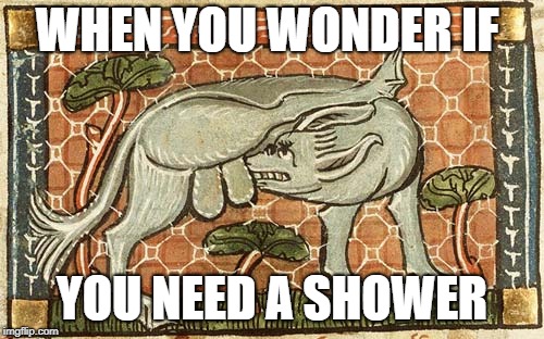 WHEN YOU WONDER IF; YOU NEED A SHOWER | image tagged in funny,funny memes,bad taste,hilarious | made w/ Imgflip meme maker