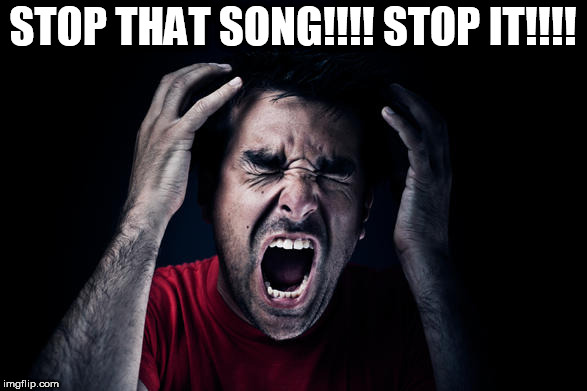 STOP THAT SONG!!!! STOP IT!!!! | image tagged in stop | made w/ Imgflip meme maker