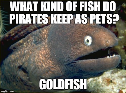 Bad Joke Eel Meme | WHAT KIND OF FISH DO PIRATES KEEP AS PETS? GOLDFISH | image tagged in memes,bad joke eel | made w/ Imgflip meme maker