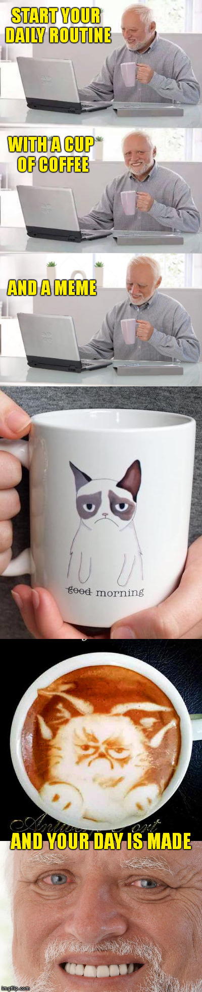 Have a nice day  ! | START YOUR DAILY ROUTINE; WITH A CUP OF COFFEE; AND A MEME; AND YOUR DAY IS MADE | image tagged in hide the pain harold,breakfast,grumpy cat coffee cup,memes,cat doesn't like this coffee,made my day | made w/ Imgflip meme maker