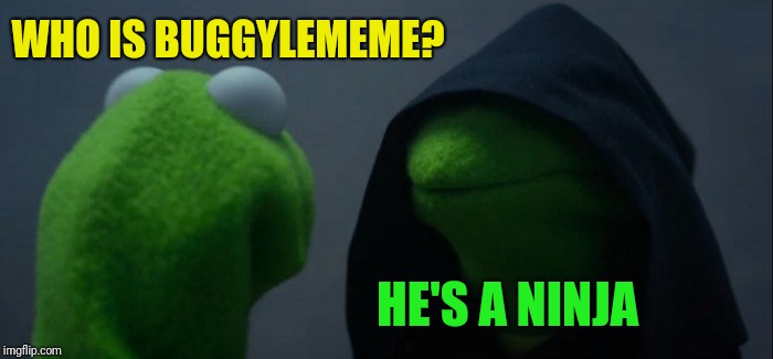 Evil Kermit Meme | WHO IS BUGGYLEMEME? HE'S A NINJA | image tagged in memes,evil kermit | made w/ Imgflip meme maker