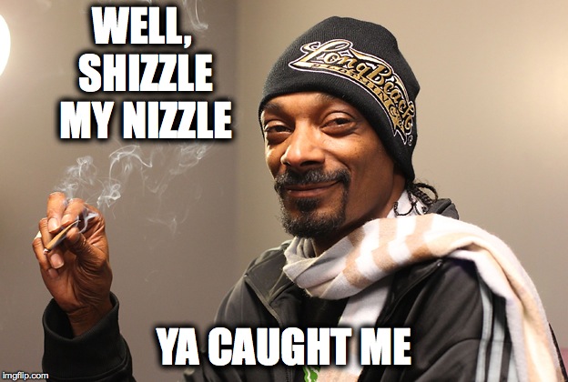 WELL, SHIZZLE MY NIZZLE YA CAUGHT ME | made w/ Imgflip meme maker