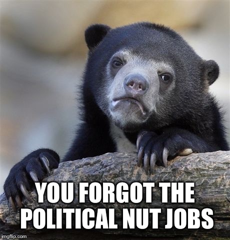 Confession Bear Meme | YOU FORGOT THE POLITICAL NUT JOBS | image tagged in memes,confession bear | made w/ Imgflip meme maker