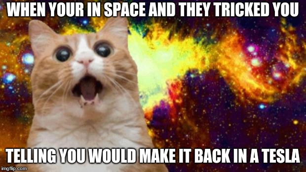 space cat | WHEN YOUR IN SPACE AND THEY TRICKED YOU; TELLING YOU WOULD MAKE IT BACK IN A TESLA | image tagged in space cat | made w/ Imgflip meme maker