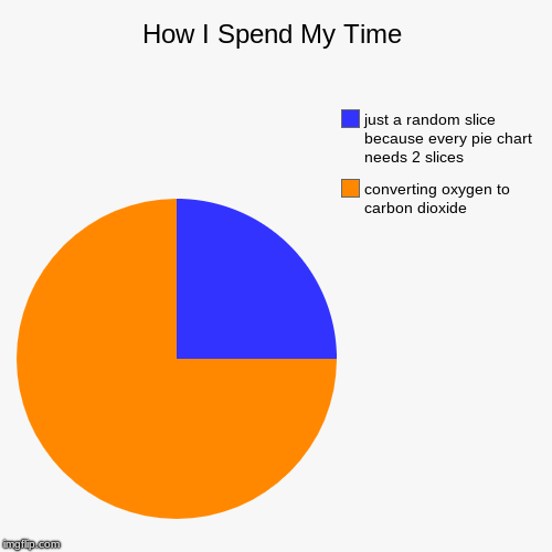 why im busy: | How I Spend My Time | converting oxygen to carbon dioxide, just a random slice because every pie chart needs 2 slices | image tagged in pie charts | made w/ Imgflip chart maker