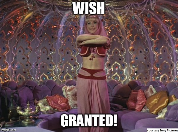 WISH GRANTED! | made w/ Imgflip meme maker