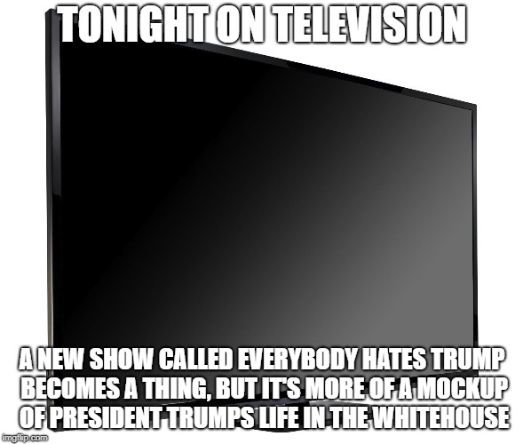 Television TV | TONIGHT ON TELEVISION; A NEW SHOW CALLED EVERYBODY HATES TRUMP BECOMES A THING, BUT IT'S MORE OF A MOCKUP OF PRESIDENT TRUMPS LIFE IN THE WHITEHOUSE | image tagged in television tv | made w/ Imgflip meme maker