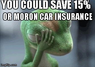 Geico gecko facepalm | YOU COULD SAVE 15%; OR MORON CAR INSURANCE | image tagged in memes | made w/ Imgflip meme maker