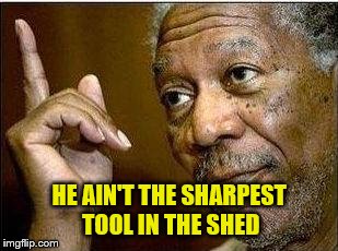 HE AIN'T THE SHARPEST TOOL IN THE SHED | made w/ Imgflip meme maker