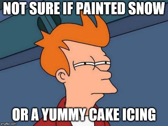 Futurama Fry Meme | NOT SURE IF PAINTED SNOW OR A YUMMY CAKE ICING | image tagged in memes,futurama fry | made w/ Imgflip meme maker